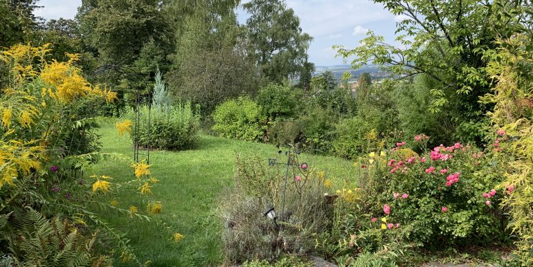 P5-Aussicht mit Garten