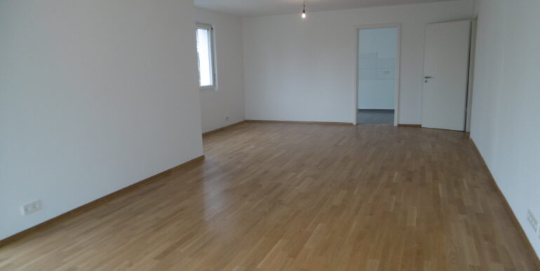 Wohnzimmer (5)
