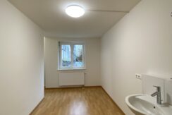 V8-0109-Bilder vom 08.04 (3)