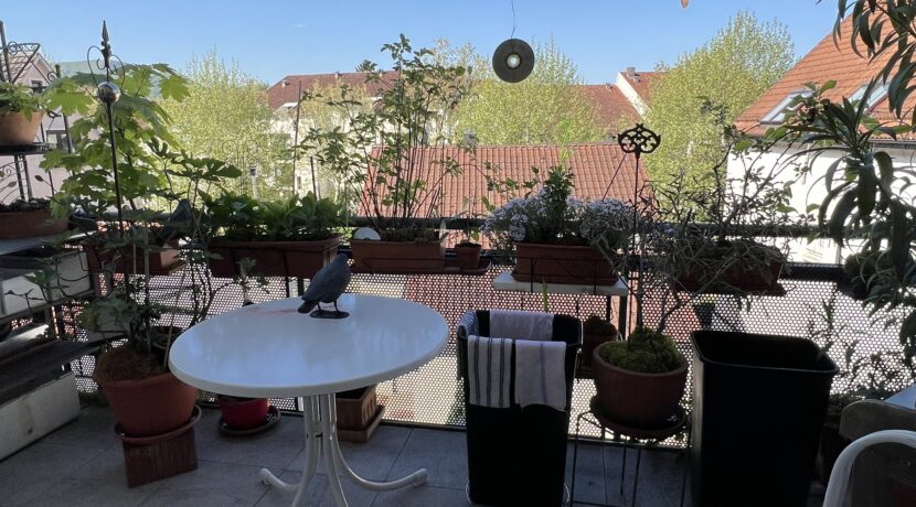 Balkon