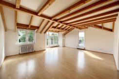 75-0038-Wohnzimmer (4)