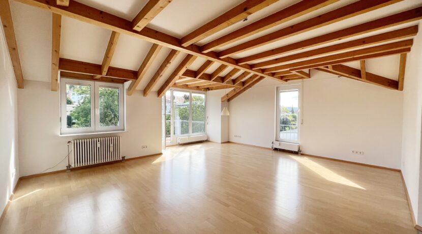 75-0038-Wohnzimmer (4)