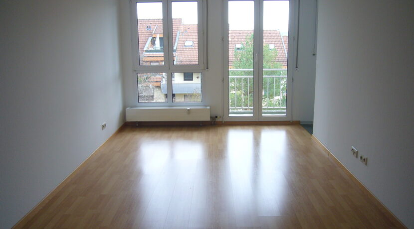 C1-0243 Wohn-Schlafzimmer (3)
