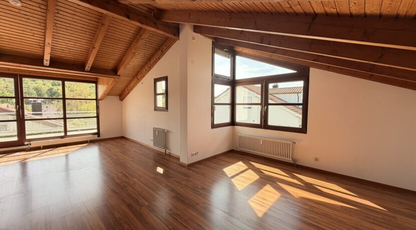 79-0037 Wohnzimmer (4)