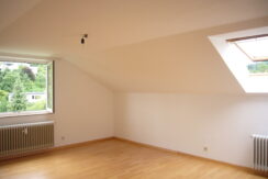 Y5-0031-Schlaf-und Wohnzimmer (2)