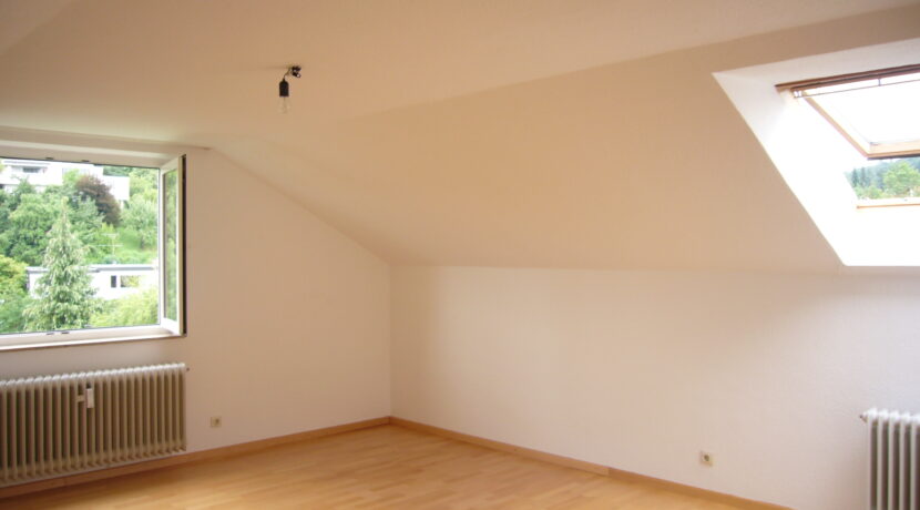 Y5-0031-Schlaf-und Wohnzimmer (2)