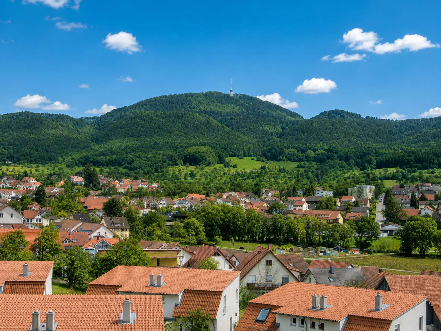 Detailansicht Aussicht der Immobilie Schöne 2-Zimmer-Studiowohnung in ruhiger Wohnlage