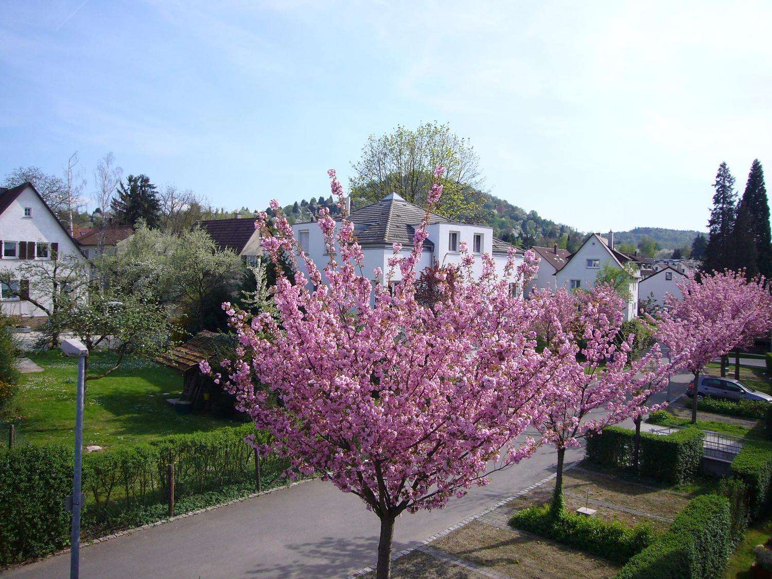Detailansicht Aussicht vom Balkon der Immobilie 2-Zimmer-Studiowohnung am Fuße des Georgenberges in Reutlingen